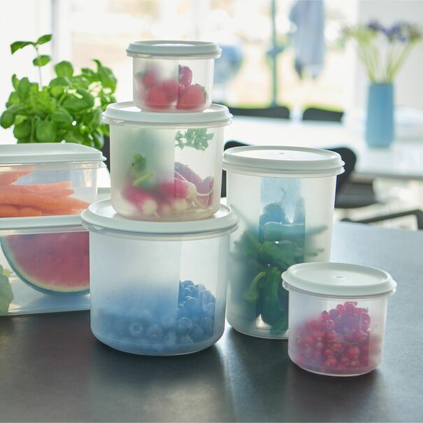 Pojemnik na żywność z białą pokrywką Plast Team Margerit 0,5 l okrągły