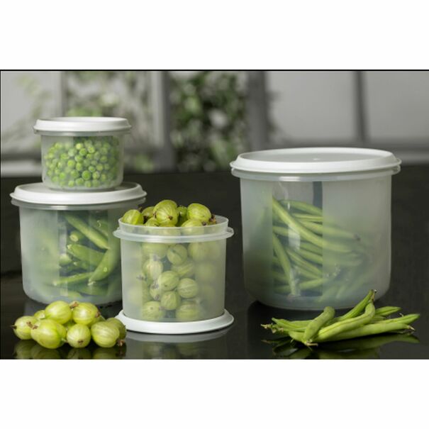 Pojemnik na żywność z białą pokrywką Plast Team Margerit 0,5 l okrągły