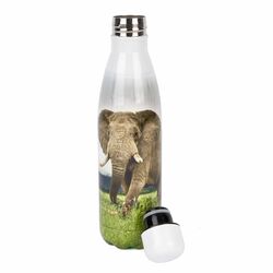 Butelka termiczna Konighoffer Wild 500 ml słoń